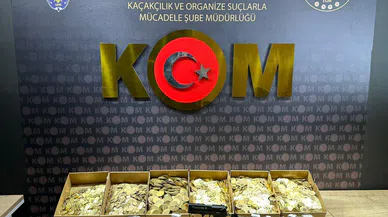 Kahramanmaraş'ta Sahtecilik ve Dolandırıcılık Operasyonu