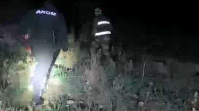 Hayvanlarını otlatmak için çıktı, ölü olarak bulundu