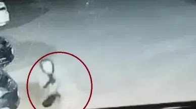 Köpek saldırısını uğrayan kadın ve çocuk canını zor kurtardı