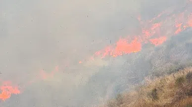 Osmaniye’de Çıkan Orman Yangını Söndürüldü