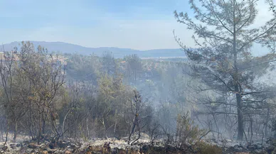 Osmaniye'nin Düziçi ilçesinde Çıkan Orman Yangını Söndürüldü