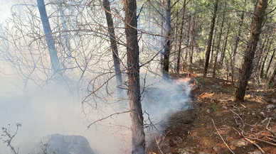 Gazipaşa’daki Orman Yangını Kontrol Altına Alındı