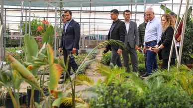 Alanya Belediyesi Bitki Üretiminde Yüzde 50 Tasarruf Sağlandı