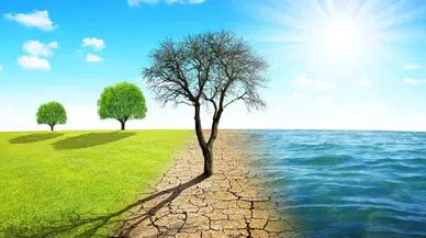 İklim Kanunu Meclis’ten Geri Çekildi, Revize Ediliyor