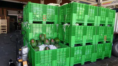 Halden 700 kilo karpuz çalındı