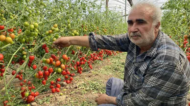 Üreticiden fiyat farkına tepki