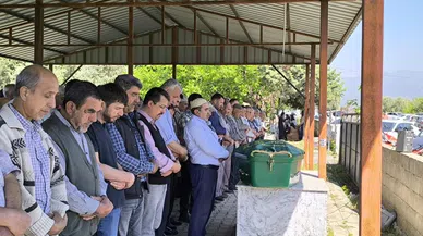 Kan Donduran Cinayet