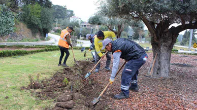 Büyükşehir'den Peyzaj Çalışması