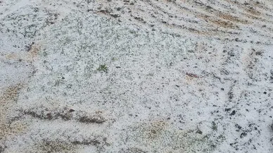 Dolu Yağışı Tarım Arazilerini Beyaza Bürüdü