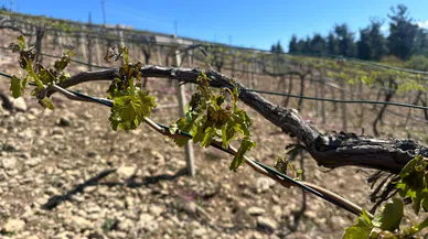 Cumhurbaşkanı Erdoğan Çiftiye Destek Açıkladı
