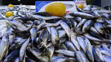 Balık tüketmek kalp krizi riskini azaltabilir