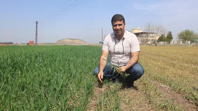 Amik Ovası İçin Bilim Adamından Kritik Uyarı