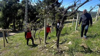 Kahramanmaraş’ta Don Felaketi! Erdoğan’dan Destek Sözü