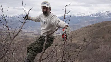 Göksun'da Dondurucu Soğukta Elma Mesaisi