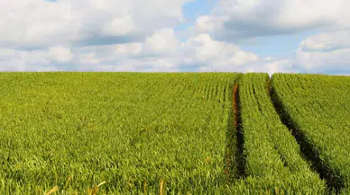 2,7 Dönümlük Arazi İçin İhale Süresi Başladı