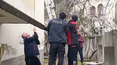 Çatıda Mahsur Kalan Kedi Ekiplerle Kurtarıldı