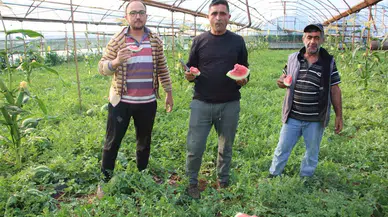 Çekirdek Karpuz Tezgahlarda Satışa Başladı