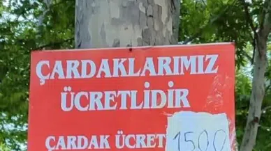 Kahramanmaraş Fırnız'da Bayramda Çardak Fiyatı Tartışması