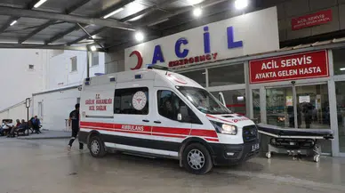 Kız Alıp Verme Husumeti: Baba ve Oğlu Öldürüldü