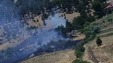 Kahramanmaraş'ta Orman Yangını Ekiplerin Hızlı Müdahalesiyle Söndürüldü