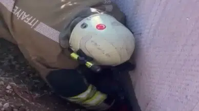 Moloz Altında Kalan Yavru Kedi Ekiplerce Kurtarıldı