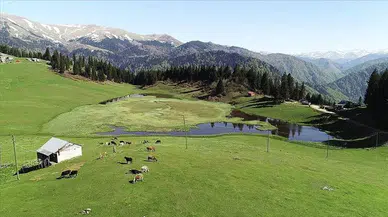 Kahramanmaraş'ta Yaz Sıcağıyla Yaylalar Hareketlendi
