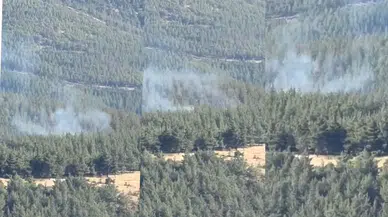 Kırkpınar'daki Orman Yangını Söndürüldü