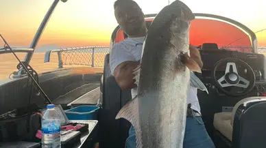 Balıkçılar 56 Kiloluk Akya Yakaladı