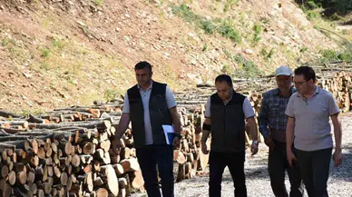 Yangın Tehlikesine Karşı Yol Temizliği Çalışmaları Başlatıldı