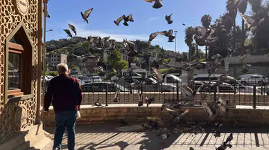 Kahramanmaraş'ta Taksici Esnafıyla Güvercinlerin Dostluğu...