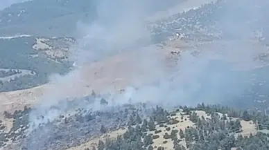 Kahramanmaraş'ta Orman Yangını Kontrol Altına Alındı