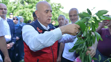 Kirişci Andırın'da Kiraz Hasadına Katıldı