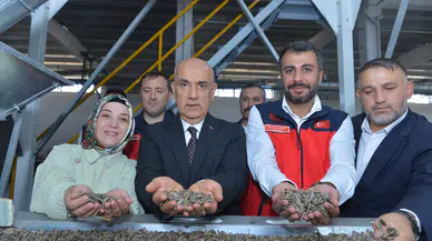 Kirişci, Afşin'de Nohut İşleme Tesisini İnceledi