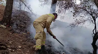 Kahramanmaraş’ta Yıldırım Yangınının Bilançosu