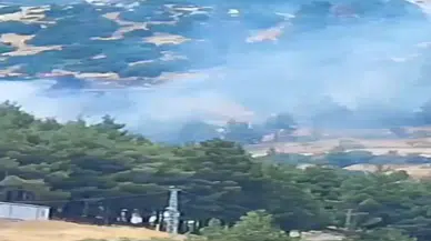 Kahramanmaraş Kuzey Çevre Yolu’nda Orman Yangını