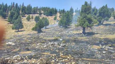 Kahramanmaraş’ta Bir Günde İki Orman Yangını