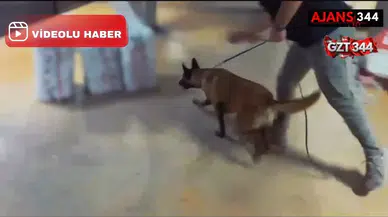 Kargodan 109 Kilo 300 Gram Yasaklı Madde Çıktı