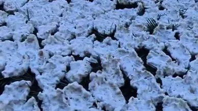 Andırın’da Kışlık Tarhana Mesaisi Başladı