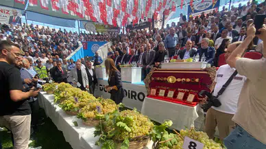 Bertiz’in En İyi Kabarcık Üzümü İçin Yarıştılar