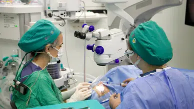 Türkiye'ye Dönük Küresel İlgi Artıyor: Dünyanın Gözleri Üzerimizde