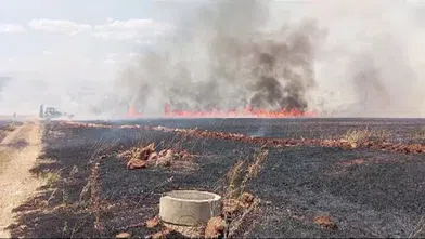 Kahramanmaraş'ta buğday tarlasında yangın