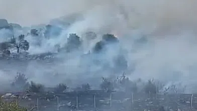 Pazarcık’ta Orman Yangını! Ekipler Müdahale Ediyor