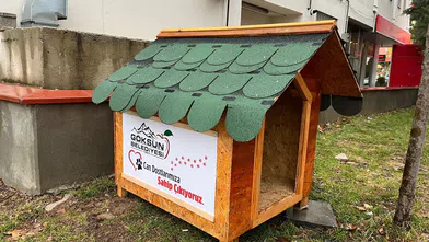 Göksun Belediyesi, Sokak Hayvanları İçin Kulübeler Yerleştiriyor