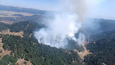 Kahramanmaraş'ta Ormanlık Alanda Çıkan Yangın Söndürüldü