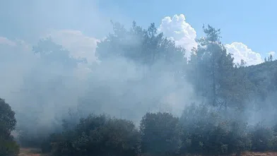 Andırın’da Orman Yangını Kısa Sürede Söndürüldü