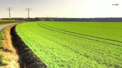 Kahramanmaraş'ta 27 Dönümlük Tarla İcradan Satışta