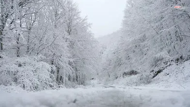 Göksun’da Gece Soğuğu Sertleşti, Sıcaklık Eksiye İndi