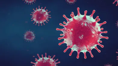 Koronavirüsten sonra yeni pandemi yolda mı? Uzmanlardan kritik uyarı