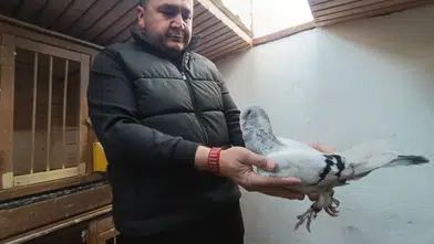 Kahramanmaraş'ta Memurluğu Bıraktı, Güvercinleri Otomobil Fiyatına Satıldı