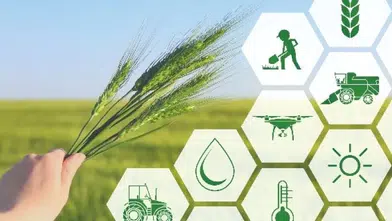 Kahramanmaraş 94 proje arasında yer aldı! Öğretmenler tarım için buluşacak